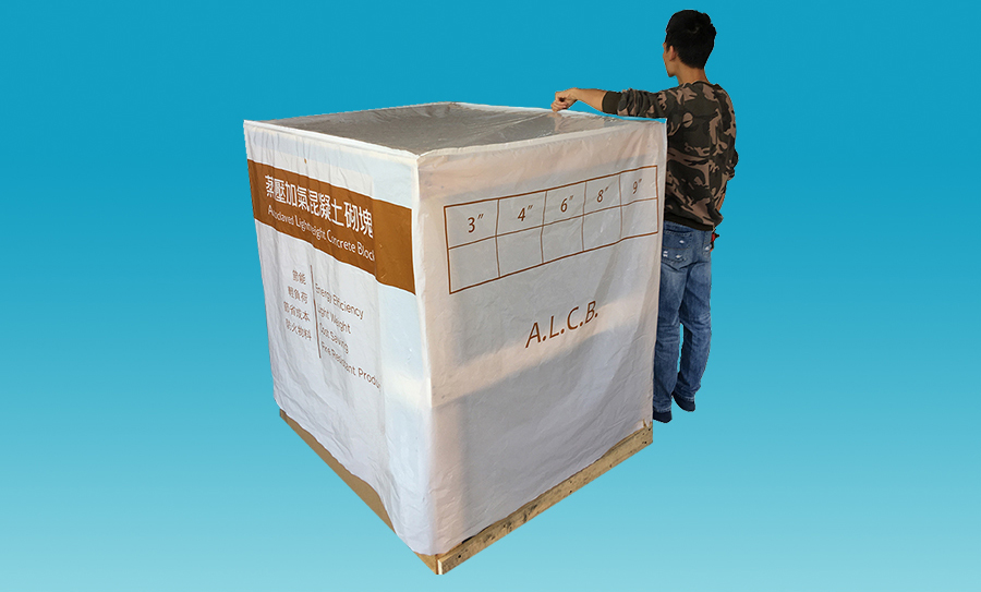 20210311-PlasticSquareBag-00